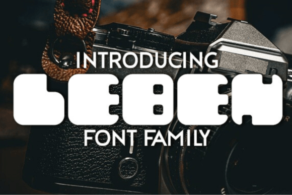 Leben: The Groovy Display Font for Clear Campaign Messaging