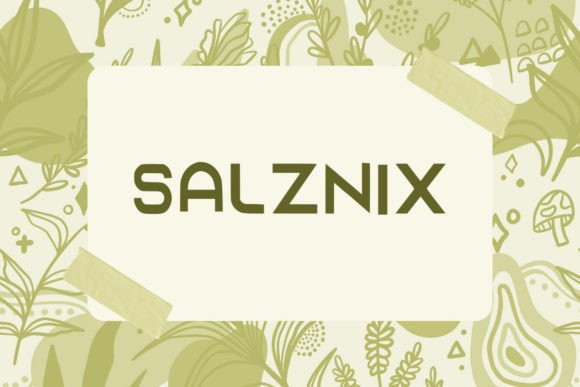 Salzaix: A Playful Display Font for Creative Business Branding